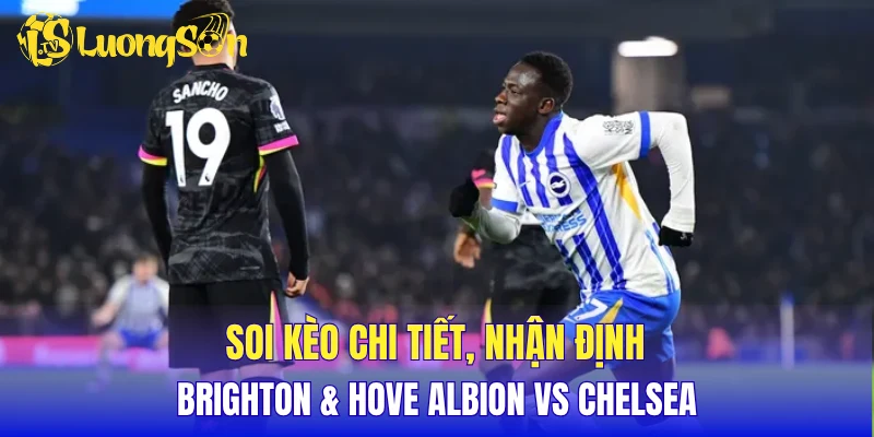 Soi kèo chi tiết, nhận định Brighton & Hove Albion vs Chelsea